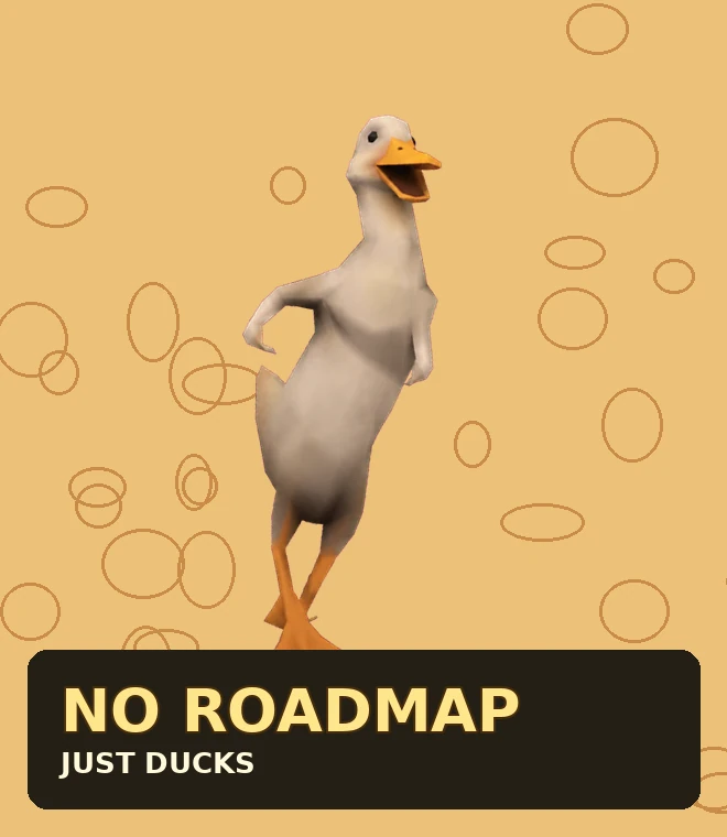 No roadmap just ducks meme